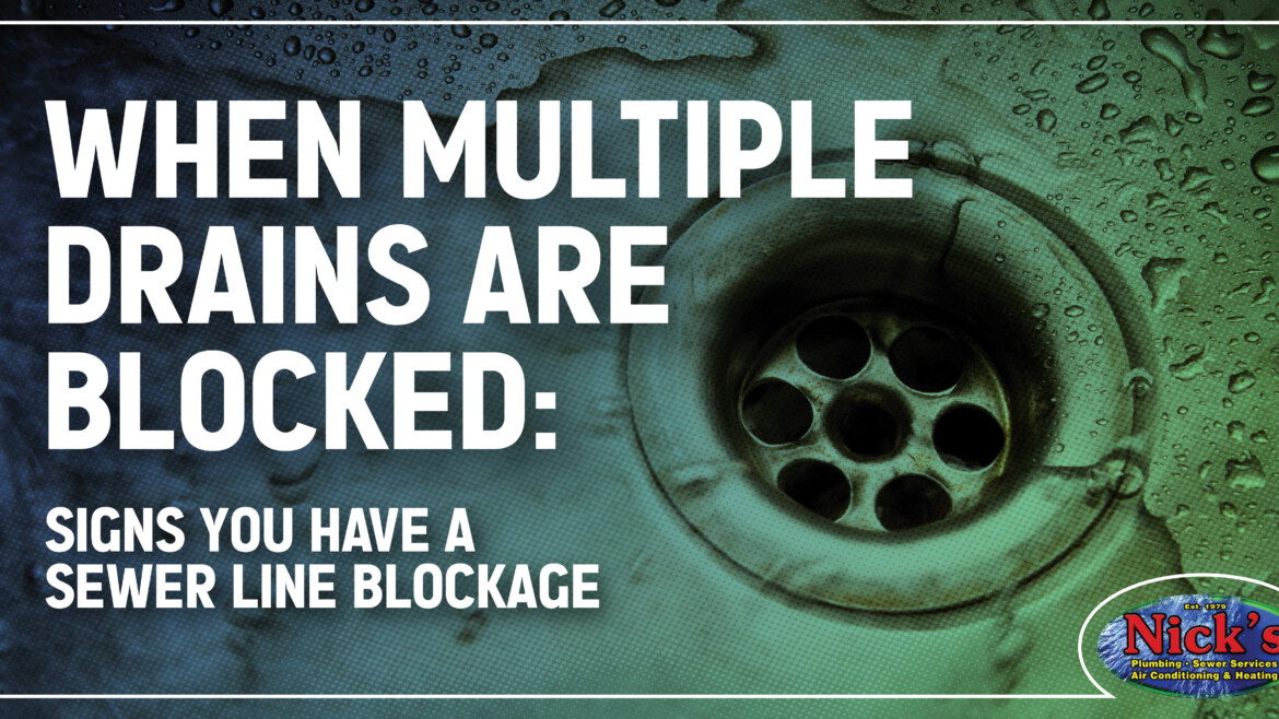 Professional drain cleaning services