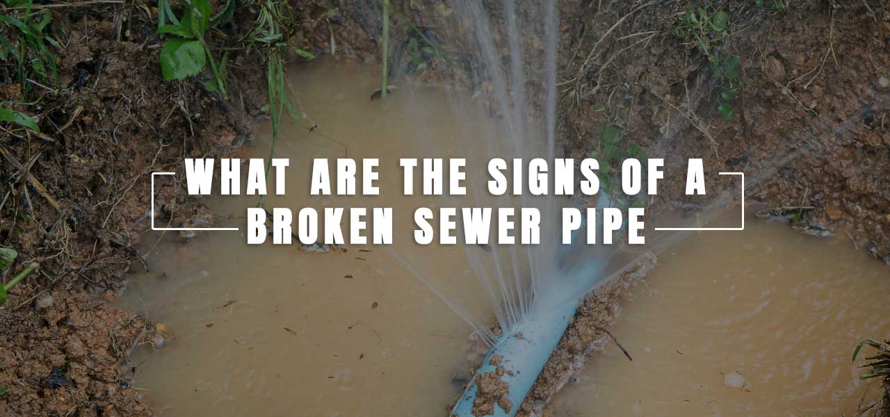"What are the Signs of a Broken Sewer Pipe?"