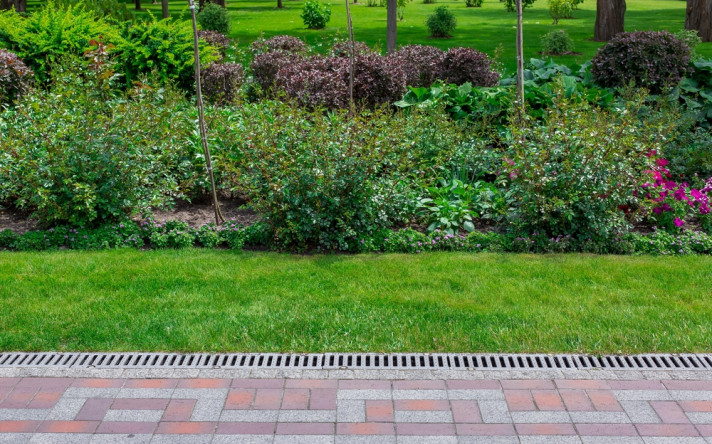 Yard Drainage Installed at a Backyard